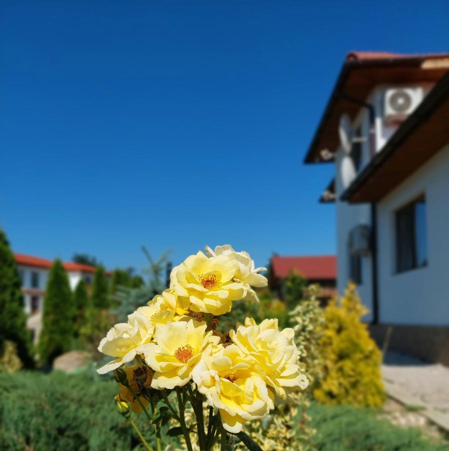 Pensiunea Paradiso Sarinasuf Esterno foto